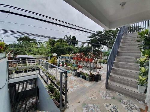 Hostal Daves Suite