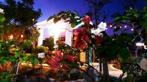 Hotel Jazkimronan Resort