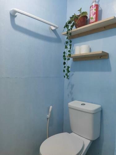 Dreamer Hostel