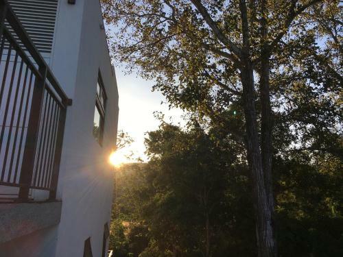 Agroturismo Greenville Maioli