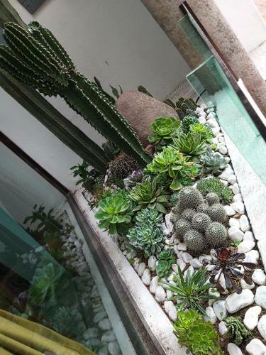 Hotel Boutique Acocalli