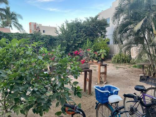 Hotel Coco Mar Suites