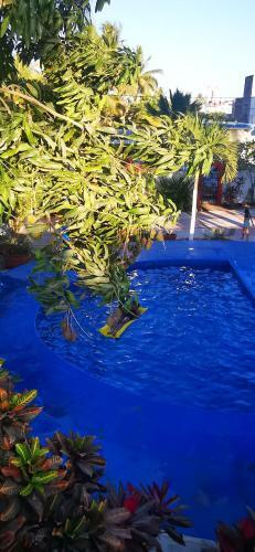 Hotel Oasis Melaque