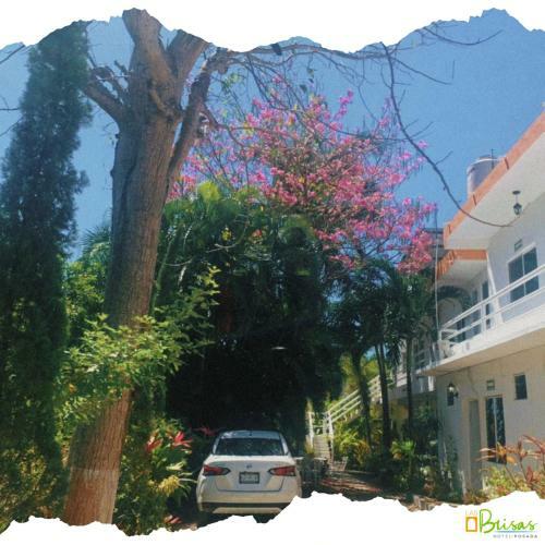Hotel Posada Las Brisas