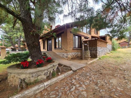 Apartamento Hermosa Caba�a Internet + Roku Cerca Del Centro