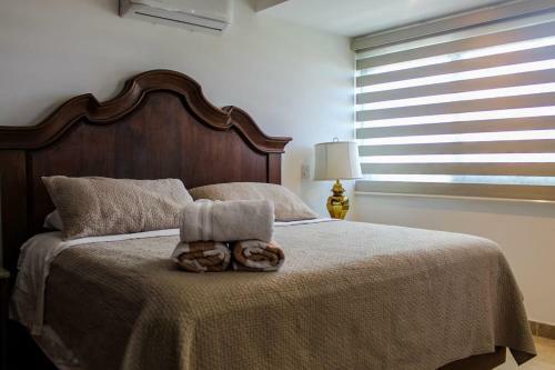 Lovely Apartment In Downtown Cabo San Lucas