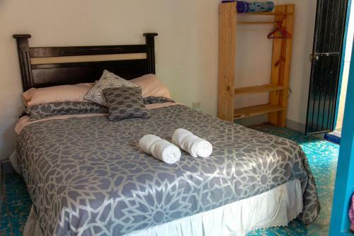 Hostal Casa Chuparrosa House