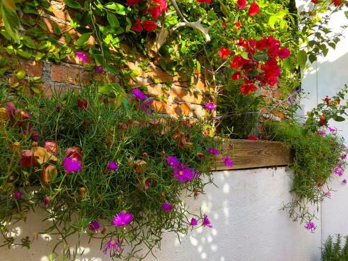 Hostal Casa Chuparrosa House