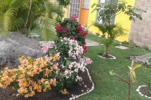 Casa En Temixco Morelos, Alberca Privada Y Asador.