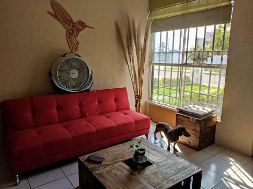Bed & Breakfast Casa Roja, Puerta Trasera, Jard�n Y Alberca