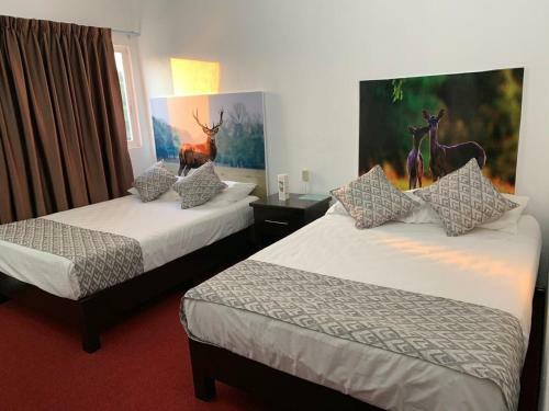 Hotel X�ntico Resort