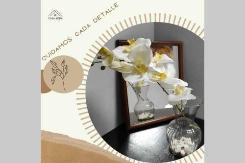 Apartamento Bonito Departamento C�ntrico En Tequila, Jal