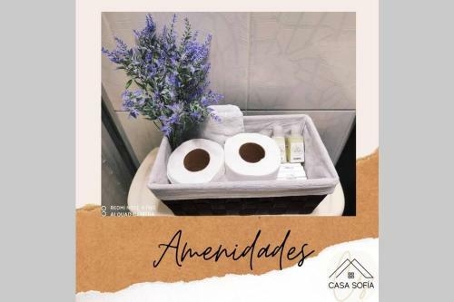 Apartamento Bonito Departamento C�ntrico En Tequila, Jal