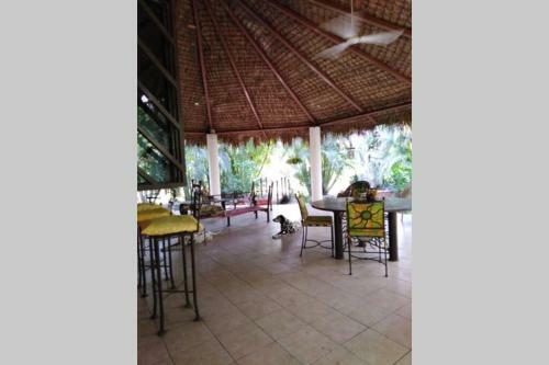 Casa De Campo Los D�lmatas