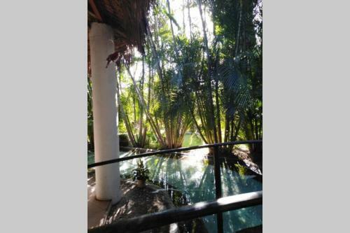 Casa De Campo Los D�lmatas