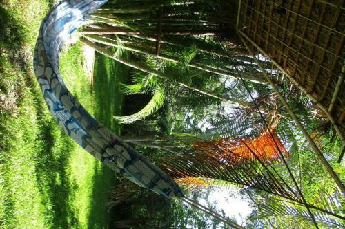 Casa De Campo Los D�lmatas