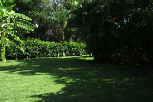 Casa De Campo Los D�lmatas