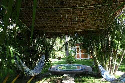 Casa De Campo Los D�lmatas