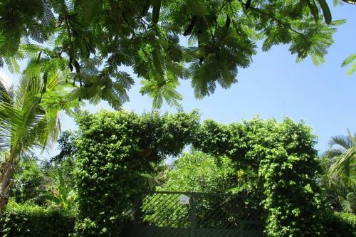 Casa De Campo Los D�lmatas