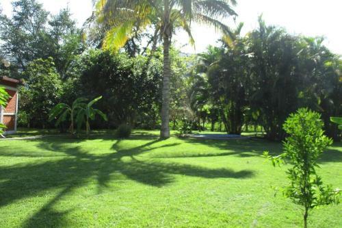 Casa De Campo Los D�lmatas
