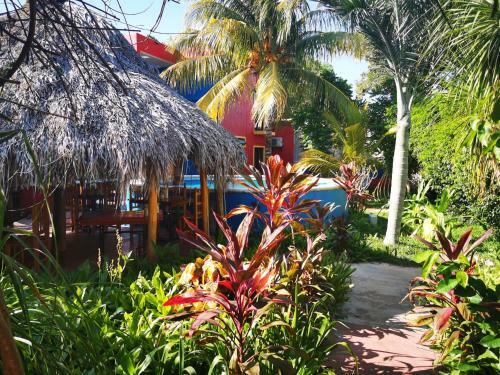 Bed & Breakfast Casa Xu�unan