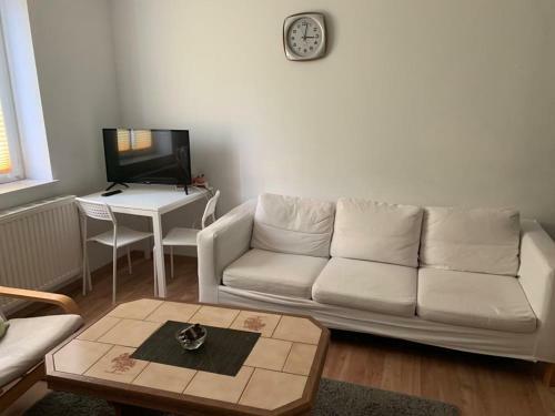 Apartamento Wohn-schlafraum Mit Einzelbett Und Sofa Tv K�che
