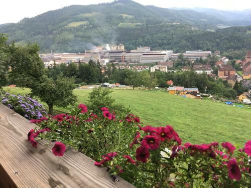 Hostal Privatzimmer Wagner