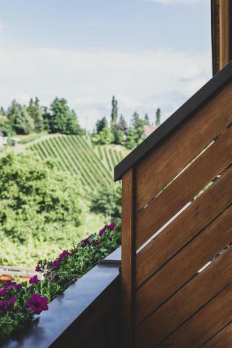 Bed & Breakfast Weingut Peter Grill