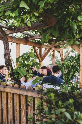 Bed & Breakfast Weingut Peter Grill