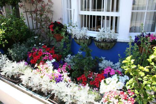 Bed & Breakfast Philbeach Guest House