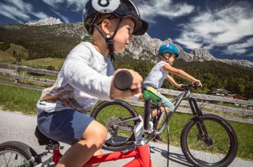 Apart Herzog - Design Apartments Leogang
