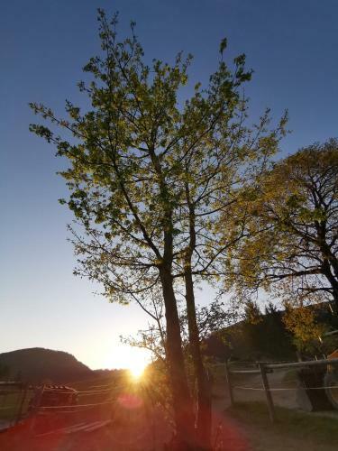 Apartamento Ferienwohnung Schl�gelhofer