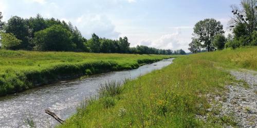 Ferienhaus H�mmerle�s