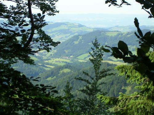 Ferienh�tte Hochalm