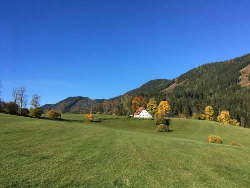 Chalet Hinterbreiteneben
