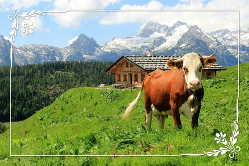 Apartamento Haus Bartlm�