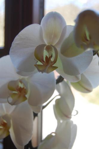 Ferienhaus Gro�alber