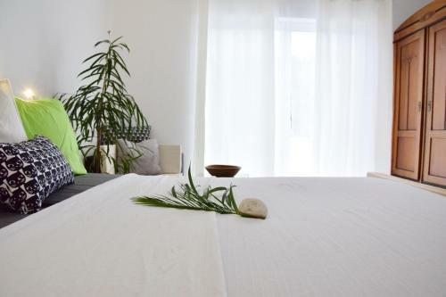 Apartamento Eufonia