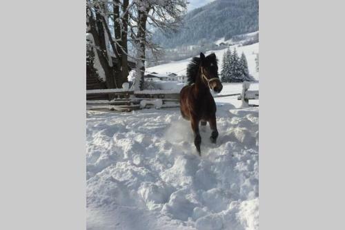 Luxury Family Apartment With Sunny Terrace