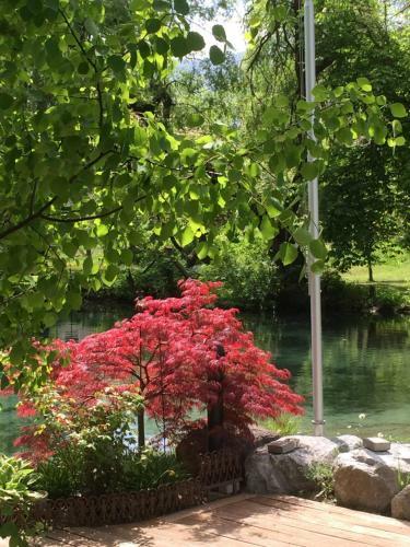 Apartamento Chalet Am See