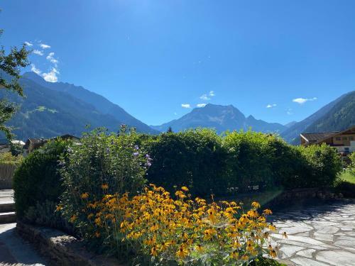 Apartamento Pension Eberharter
