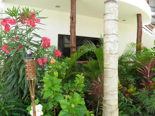 Tua Tulum Apartments