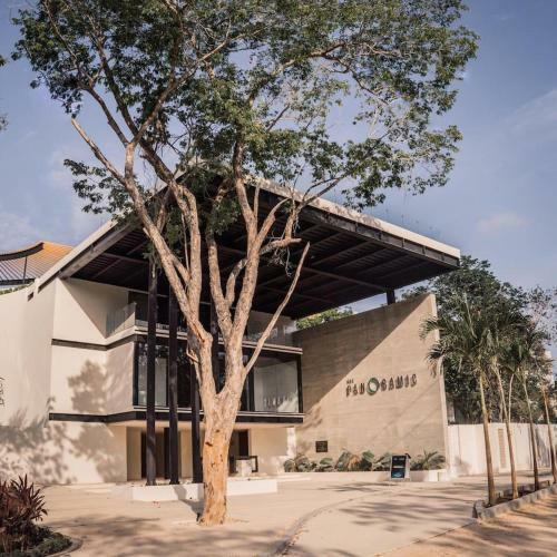 Stylish 2bd With 360 Infinity Pool And Sunset View Wifi