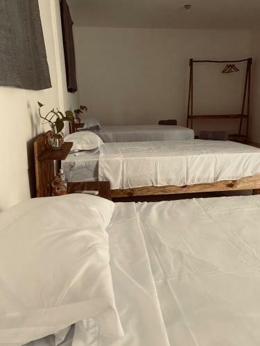 Hostal Casa Babel Hostel