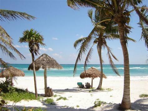 Zama Village In Beautiful Aldea Zama #tulum