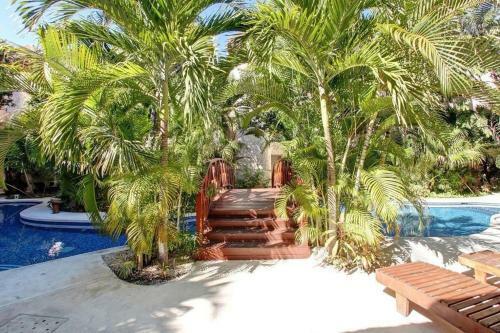 Zama Village In Beautiful Aldea Zama #tulum