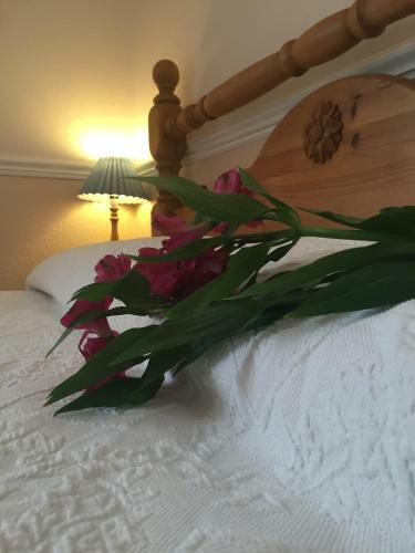 Hostal Ashdene House