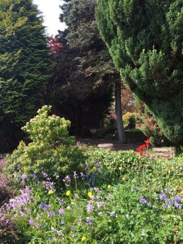 Bed & Breakfast Claremont House