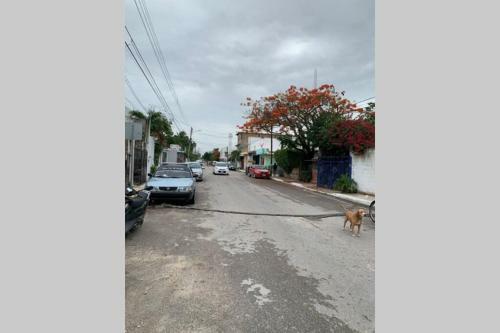 Apartamento Downtown Department 1 Ritas Home Local Owners