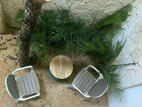 Bed & Breakfast Casa Koala II Ac, Sleeps 10, 2 Bikes, Hammock